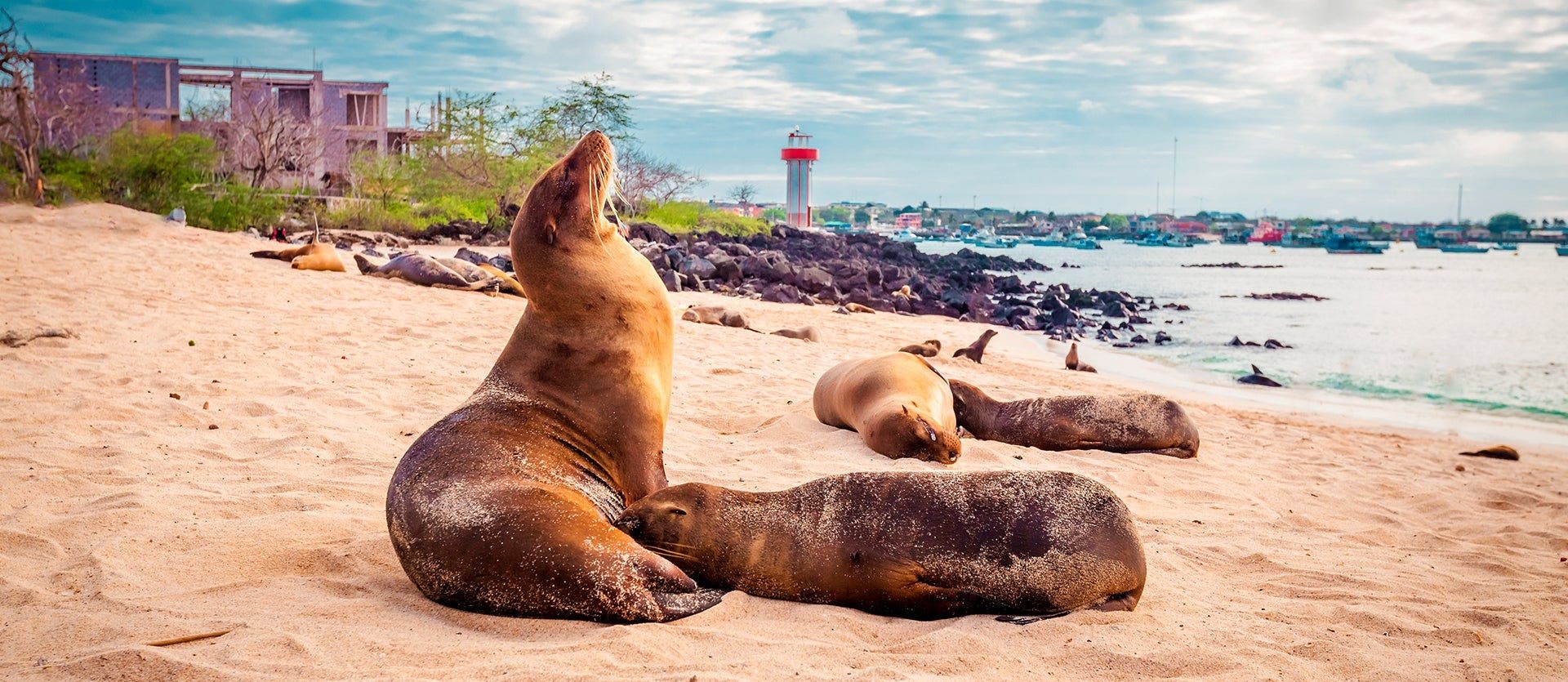 Esencia de las Islas Galápagos