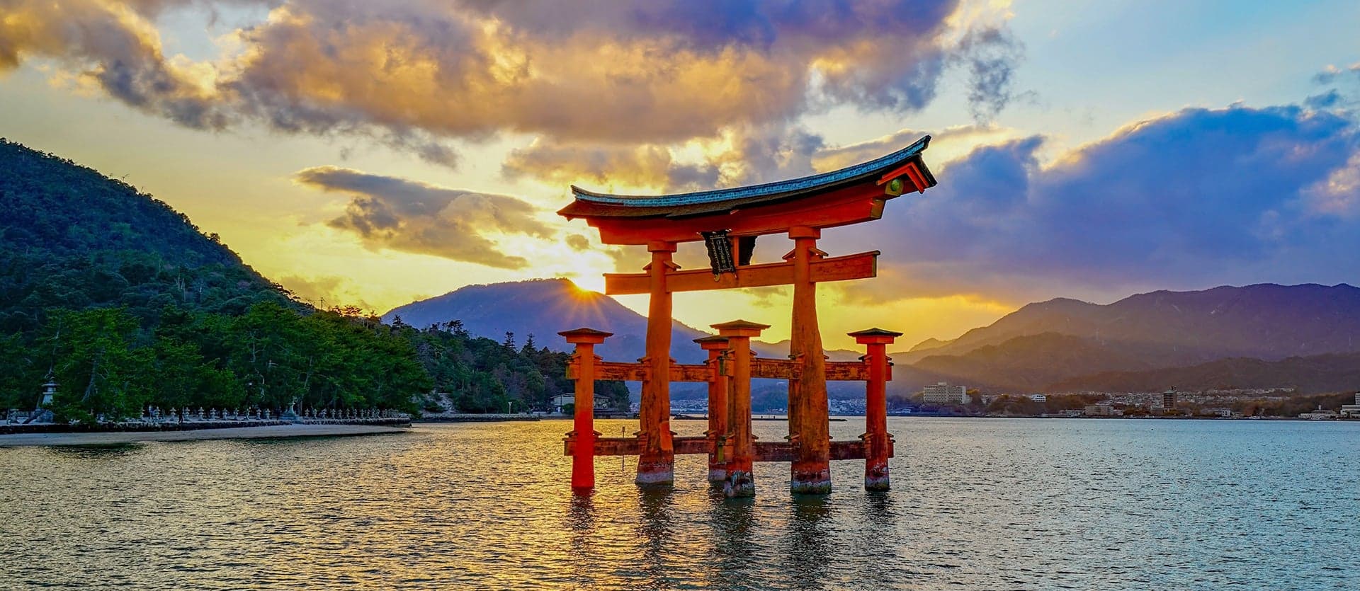 Tesoros de Japón: Una experiencia 360°