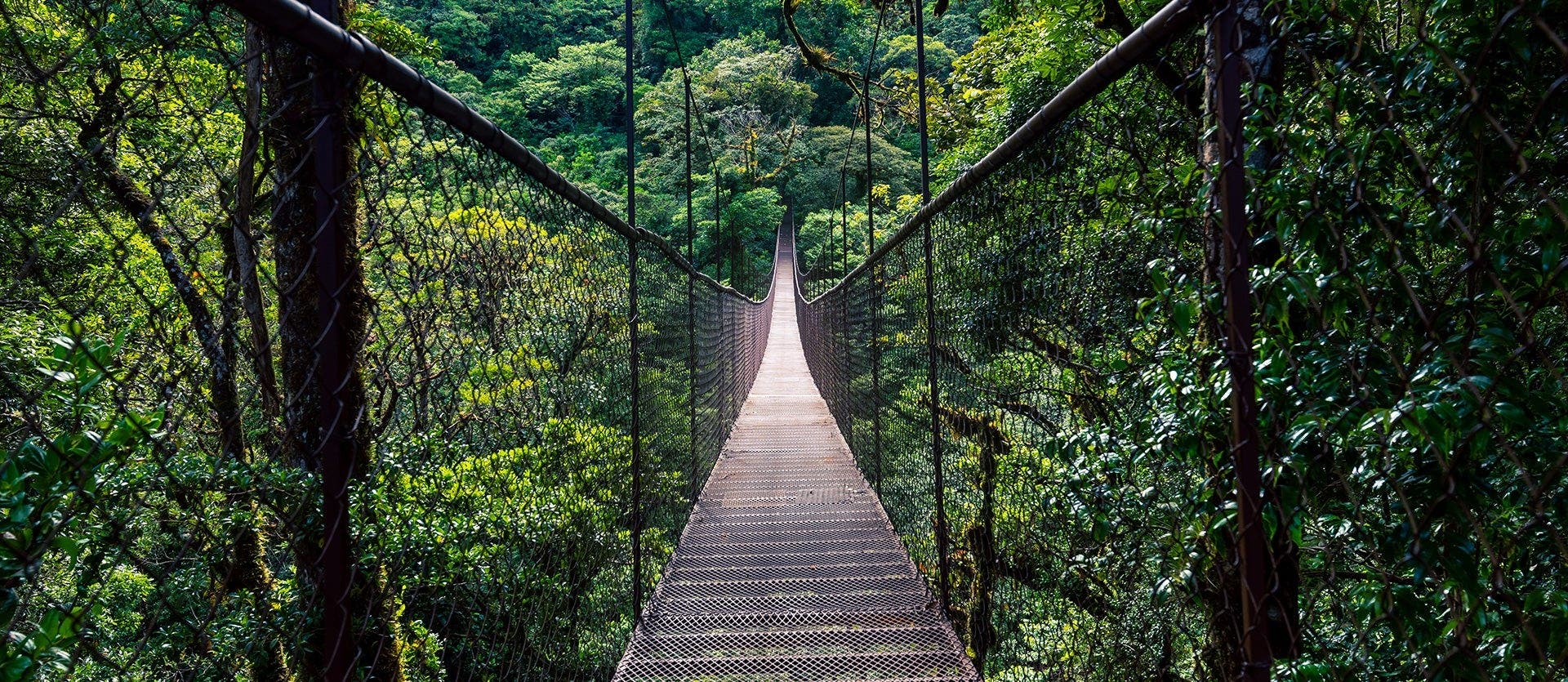 The best of Panama: Canal, Boquete & Bocas