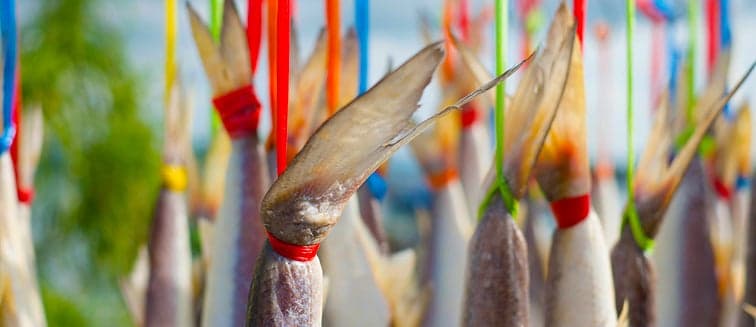 Gastronomy in Norway